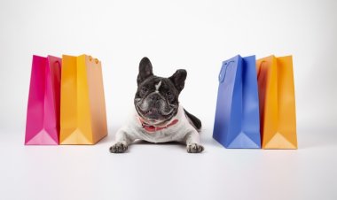 Spotting the Best Pet Store